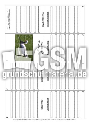 Faltbuch-Streifengans.pdf